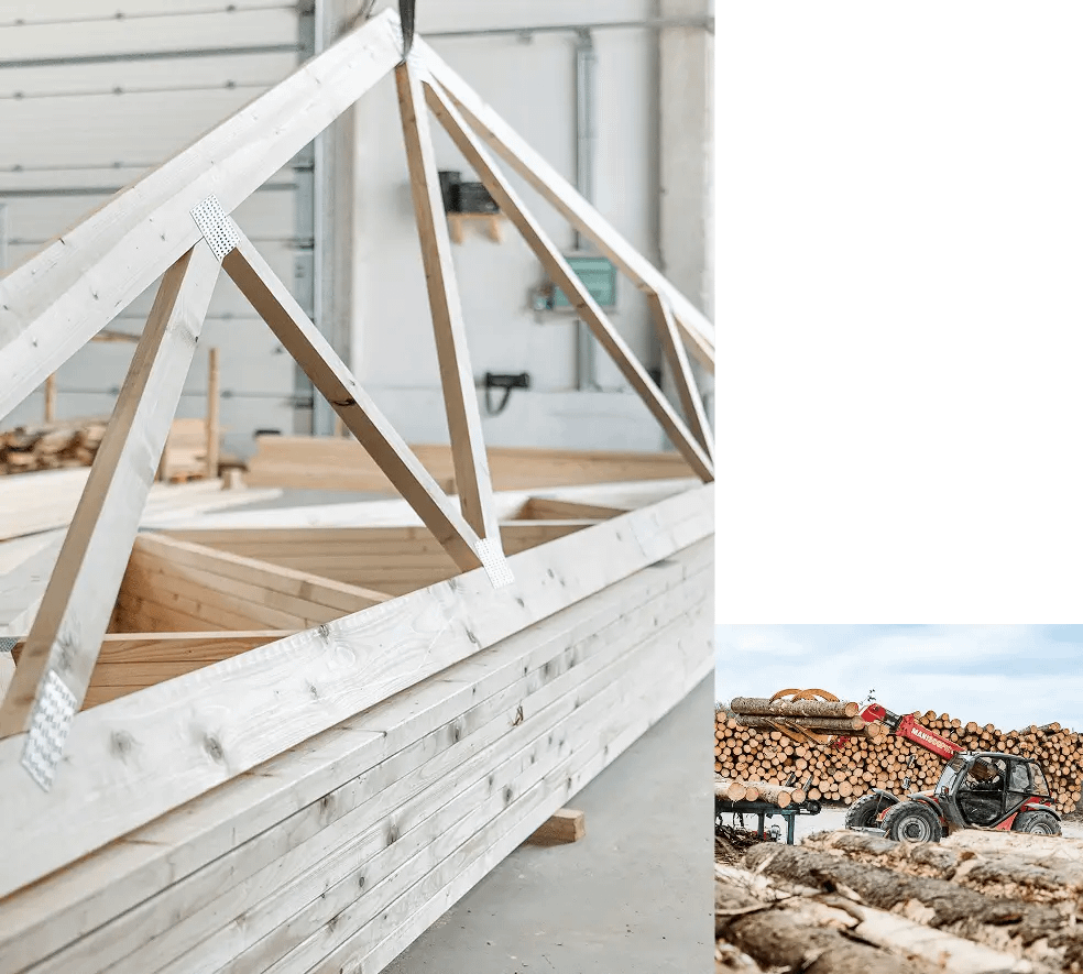 Mediniu-konstrukciju-gamybos-ir-statybos-ekspertai-1